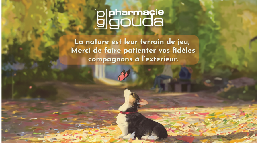 Pour nos amis les animaux :